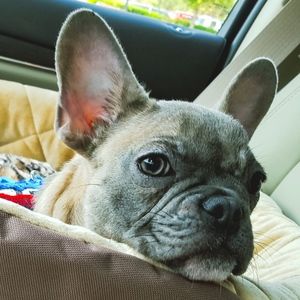 Meet your Posher, Lori